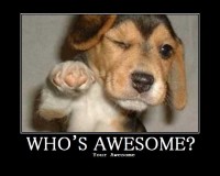 Who's awesome? Your awesome